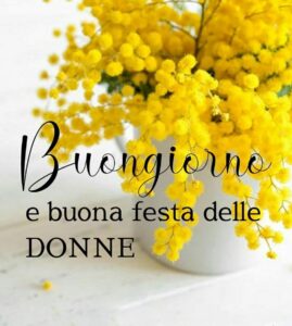Mimosen zum Frauentag