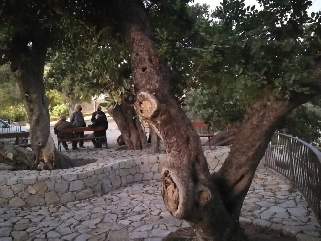Am Abend plauscht man unter den alten Olivenbäumen im Ort