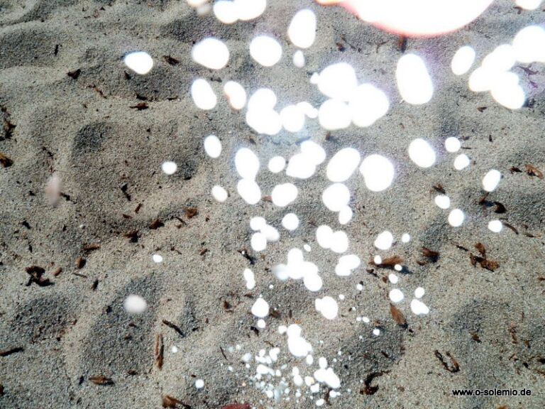 Sand- und Muscheldiebstahl auf Sardinien