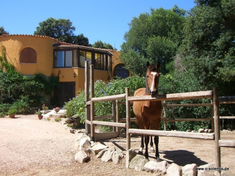 Rena Majore – Landhaus in der Gallura mit Pool, Nordküste