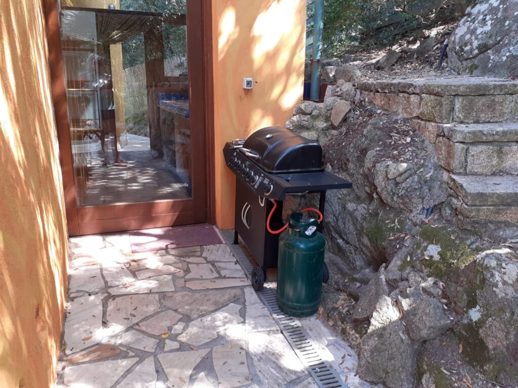Gasgrill für unbeschwerte Grillrunden