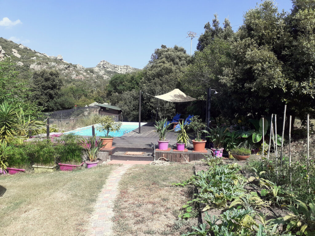 Pool im Garten der Villa