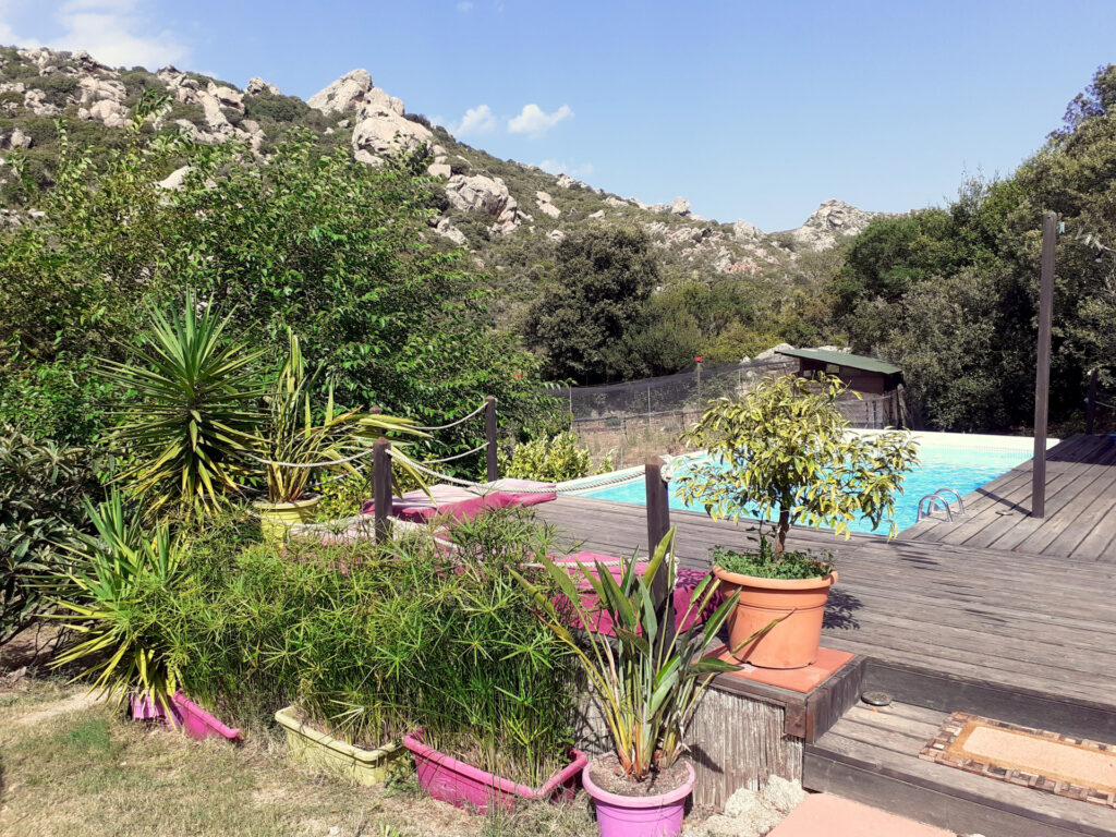 Pool im Garten der Villa