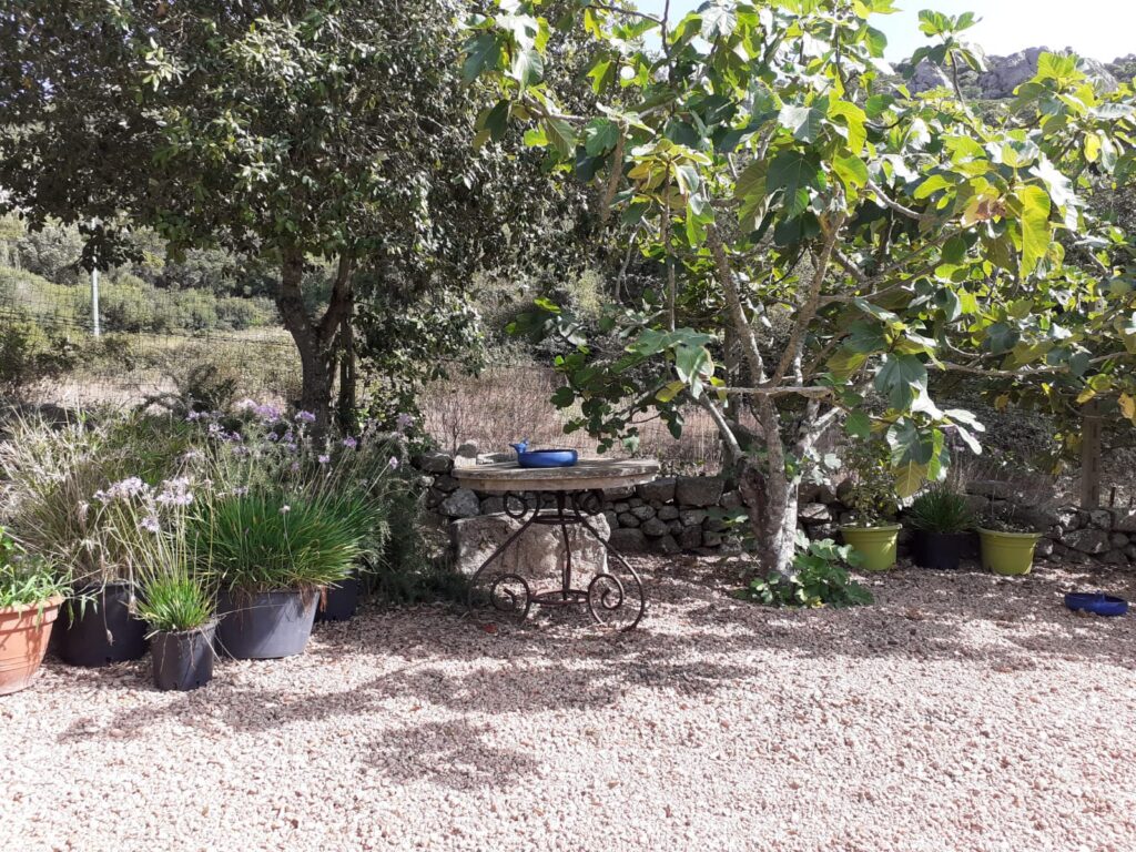 im Schatten Platz nehmen