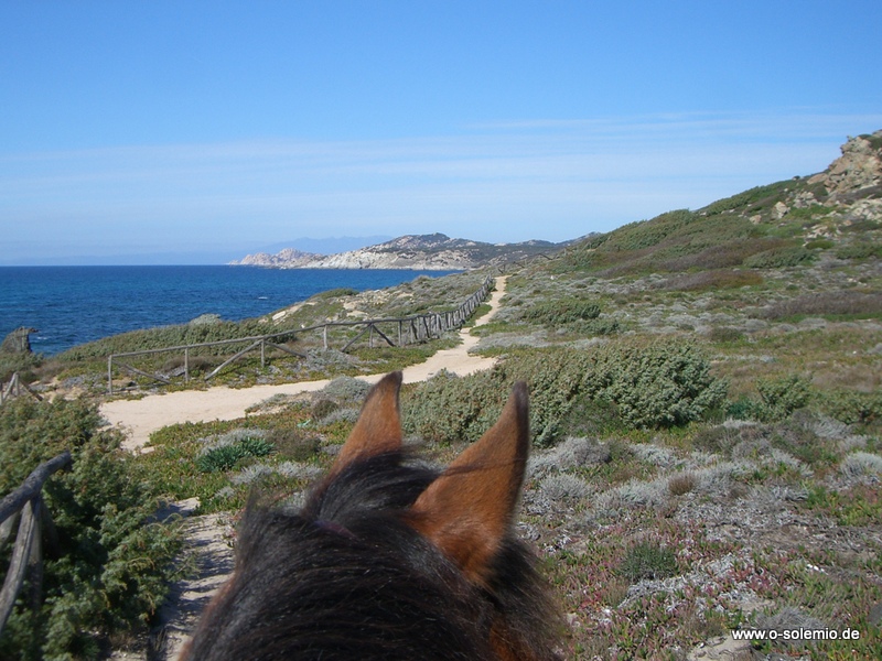 Strand von Rena Maiore