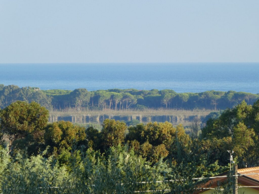 Feriendomizil Tartaruga