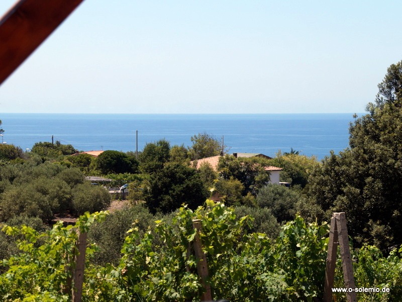 Blick von der Terrasse, Azzurro Vista im Weinberg, Mare im EG
