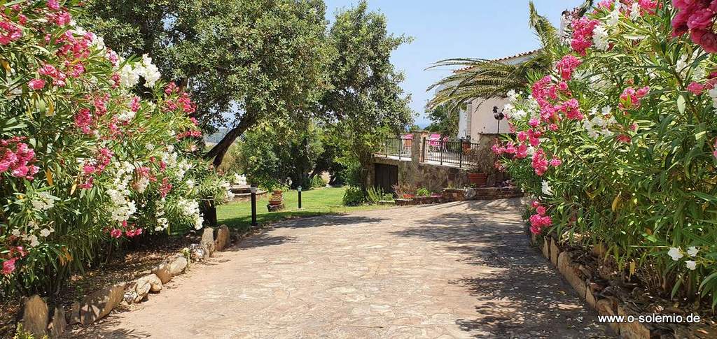 Die Einfahrt zur Villa Sa Petra Ruja - im Sommer ein Blütentraum
