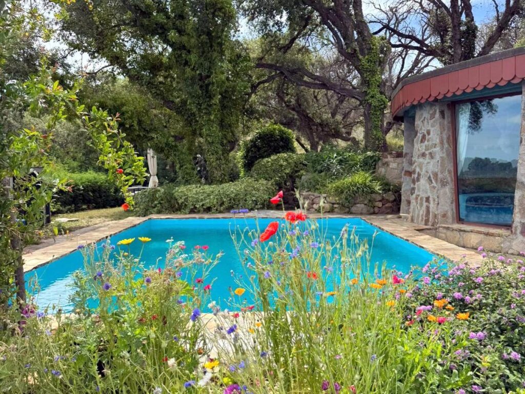 Pool im Frühling Sa Petra Ruja