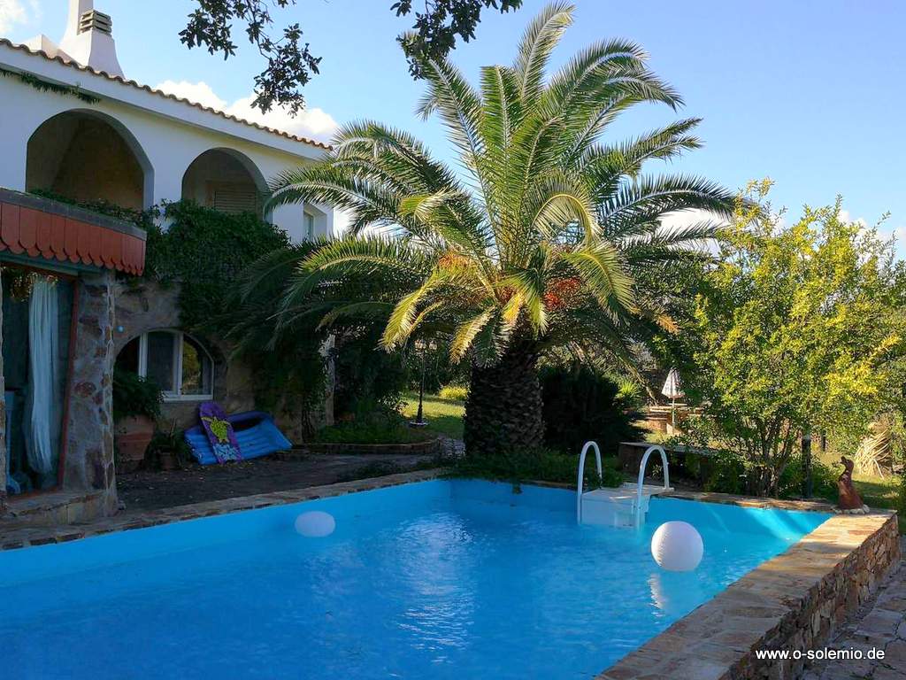 Großer Pool im Garten