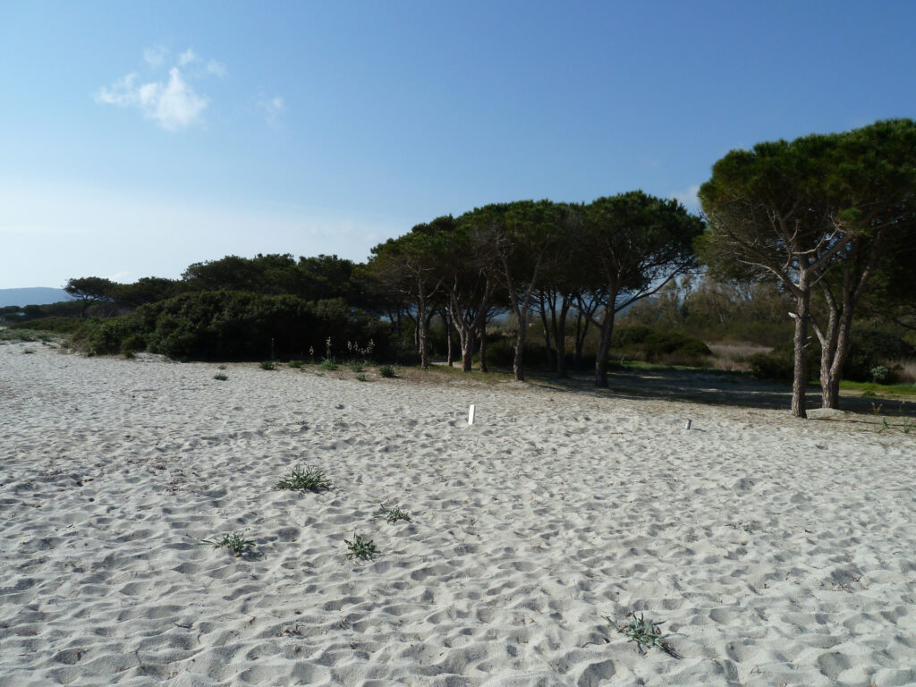sardinien, la Caletta