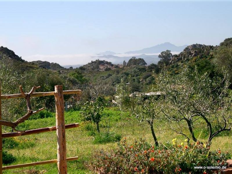 Obstbäume im Garten und ein herrlicher Blick bis zum Meer