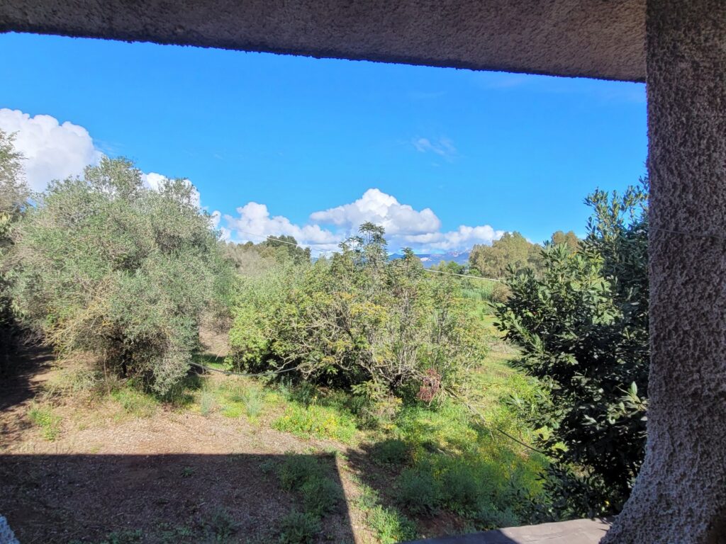 Blick-von-der-Terrasse-Villa Magico