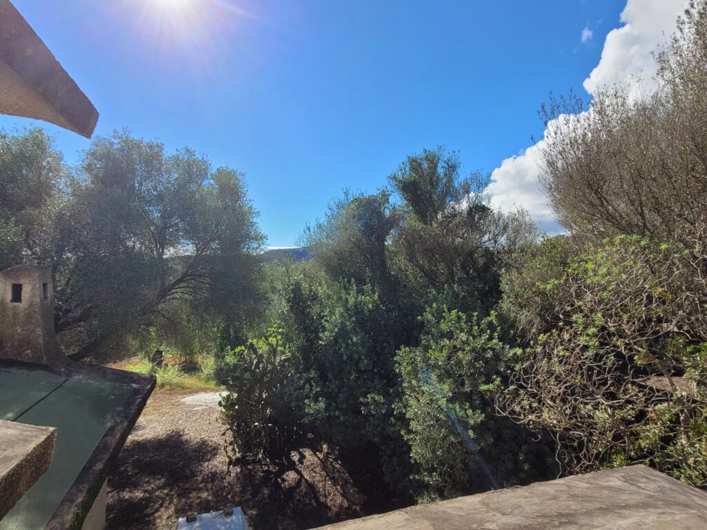Rund-um-Villa Magico