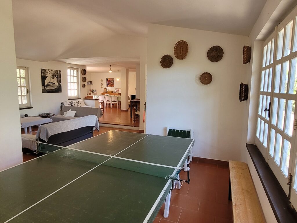 Tischtennisplatte im Wohnraum - Spaß für alle