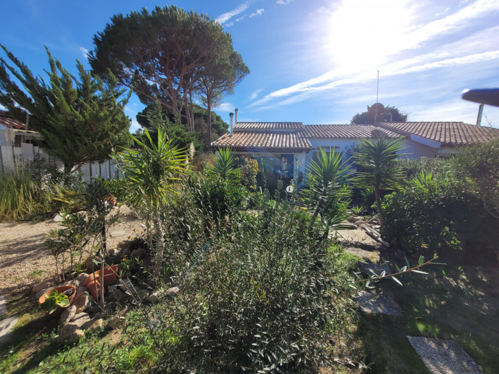 im Vorgarten von Giardino-al-mare, Rena Majore