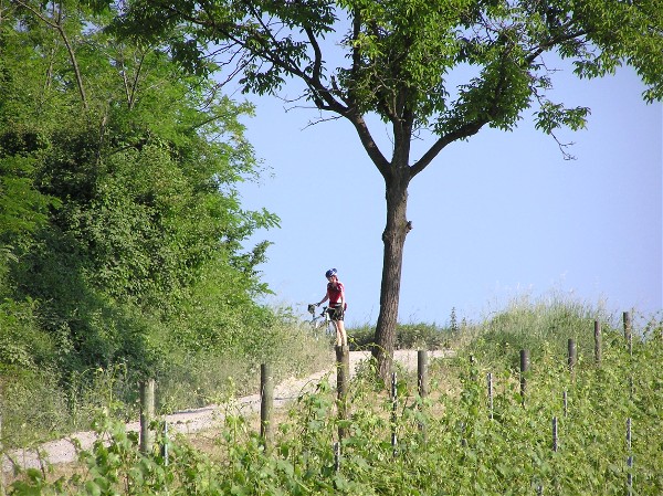 Langhe_Radfahrparadies.jpg