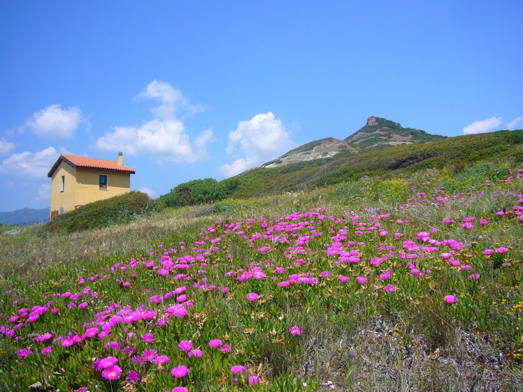 Frühling an der Westküste