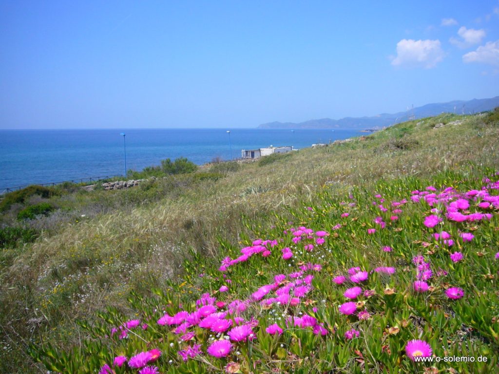 Frühling an der Küste von Turas