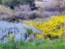 Sardinien