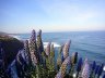 Sardinien_Steilküste
