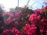 Sardinien_September