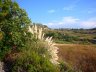 Sardinien