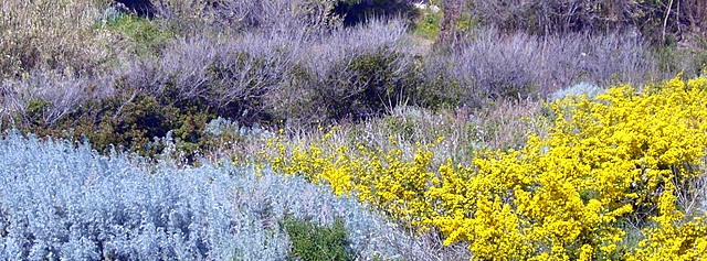 Sardinien_farbrausch, Informationen über die Insel