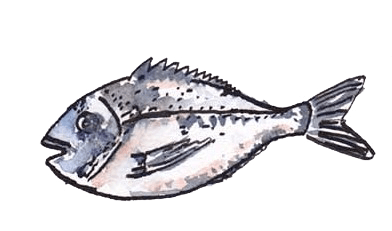 Fisch – Illustration von o-solemio