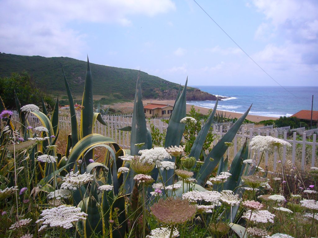 Sardinien, Porto Alabe, Strand und Meer