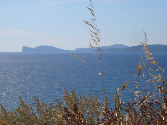 sardinien -küste bei alghero sardinien -küste bei alghero