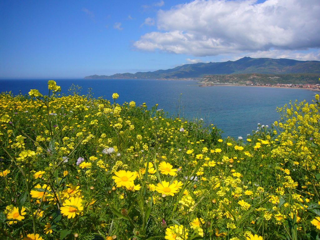 sardinien-westen-april-084