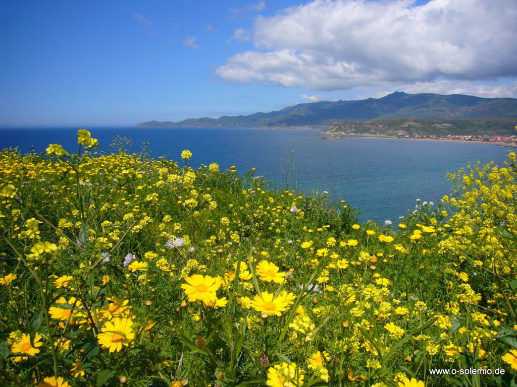 sardinien-westen-april-084