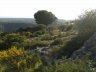 wildnis-sardinien